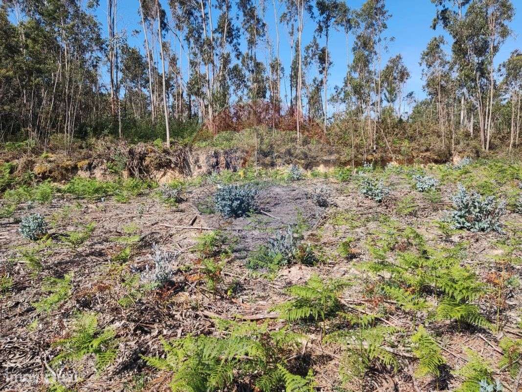 Terreno  para venda - Grande imagem: 5/9