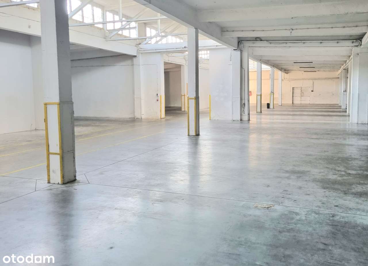 Magazyn i biuro do wynajęcia Logistyka Składowanie - Pełny obrazek: 3/5