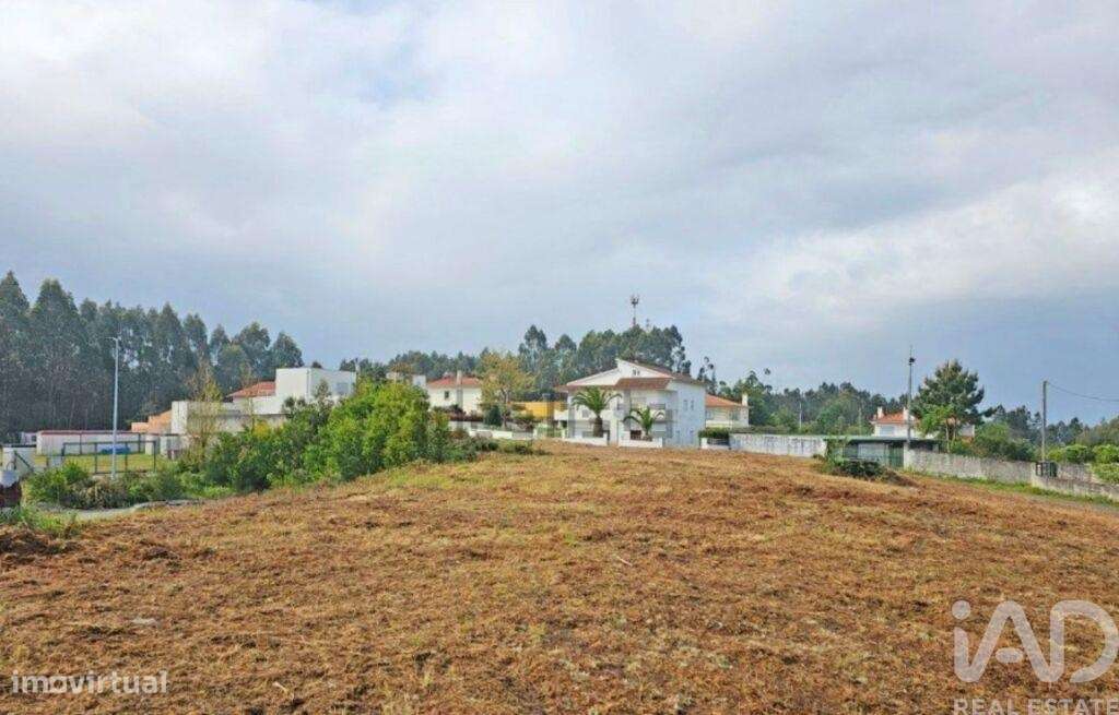 Terreno em Anha de 840,00 m2 - Grande imagem: 5/30