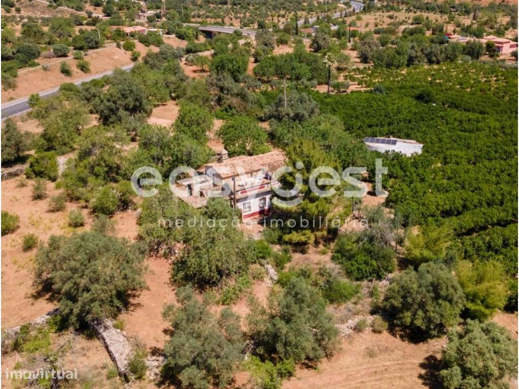 Terreno com 1 Ha e casa para recuperar a 5 minutos de Moncarapacho - Grande imagem: 2/32