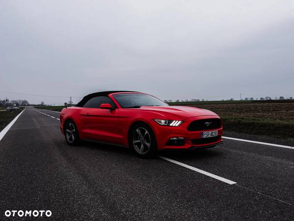 Ford Mustang 3.7 V6 - 7