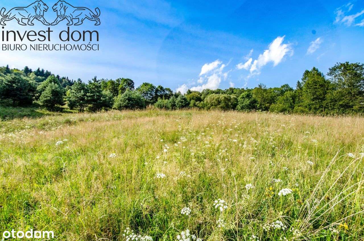 Działka rolna w górach i dolinach Beskidu Niskiego - Pełny obrazek: 5/13