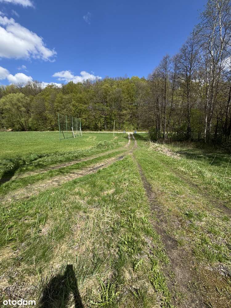 Działka 20ar w Lalinie - Pełny obrazek: 5/11