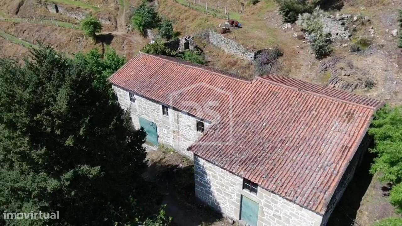 Quinta  Venda em Várzea de Abrunhais,Lamego-15