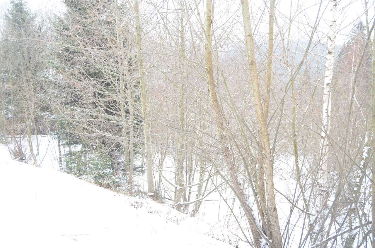 Teren intravilan situat in Predeal-7