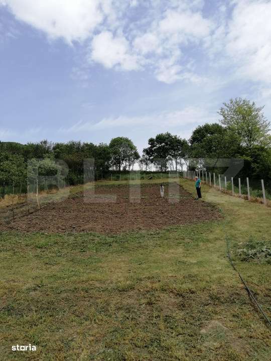 Casa renovabila, 1508 mp teren, Vultureni - Imagine principală: 1/12