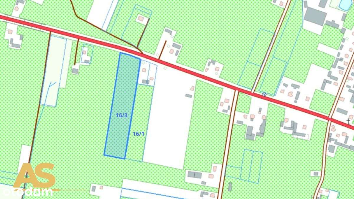 Zadbany sad jabłoniowy - Pełny obrazek: 5/5