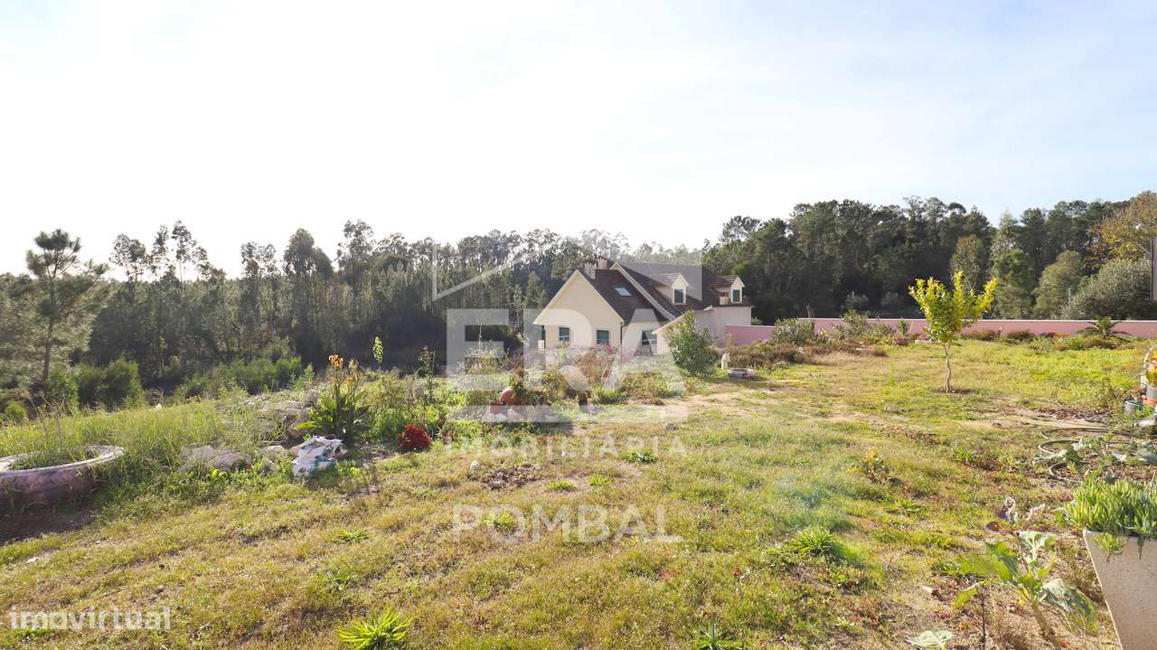 Moradia T3 renovada, Freixianda-28