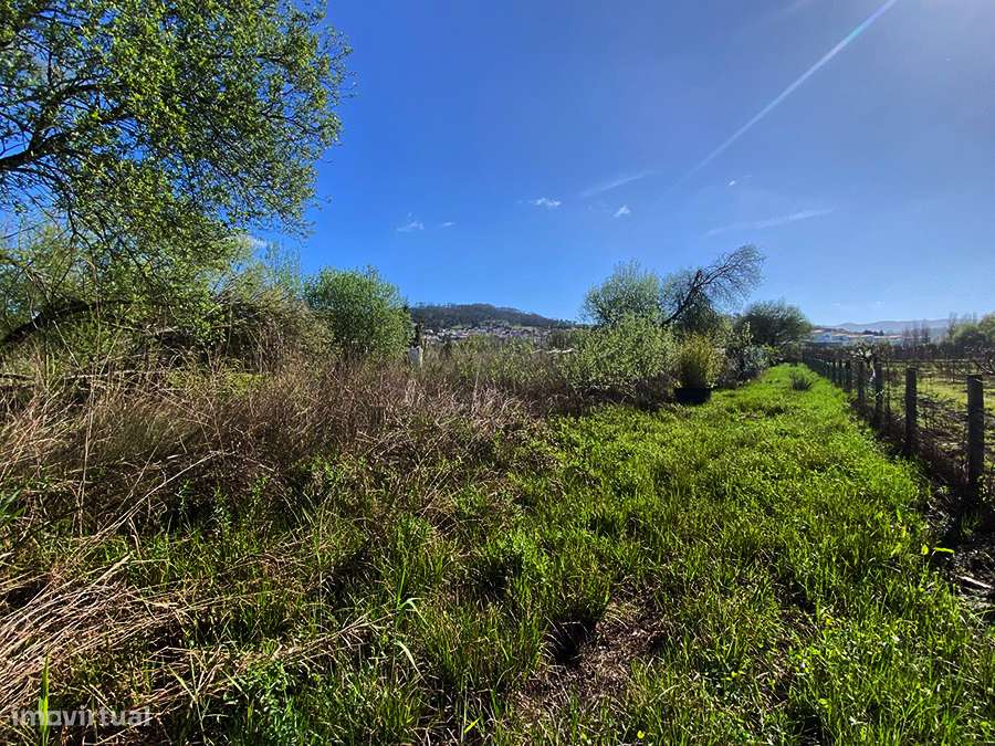 Terreno rústico plano, furo de água local tranquilo, luminoso, Maiorga - Grande imagem: 2/14
