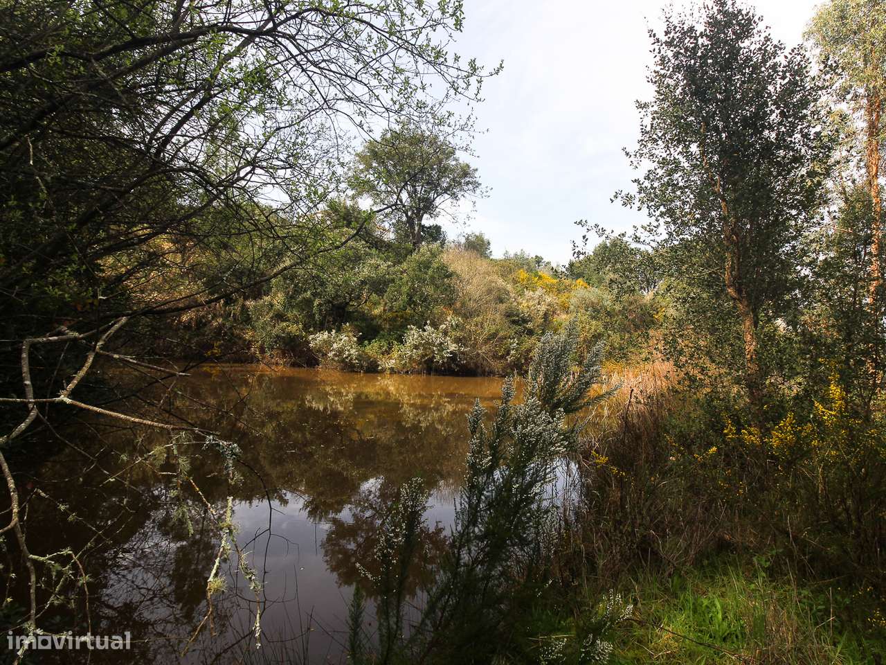 Terreno com cerca de 1 Hectare-14