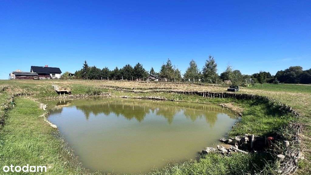 Dom na działce 5 tys M ze stawem i brzegiem Drwęcy-8