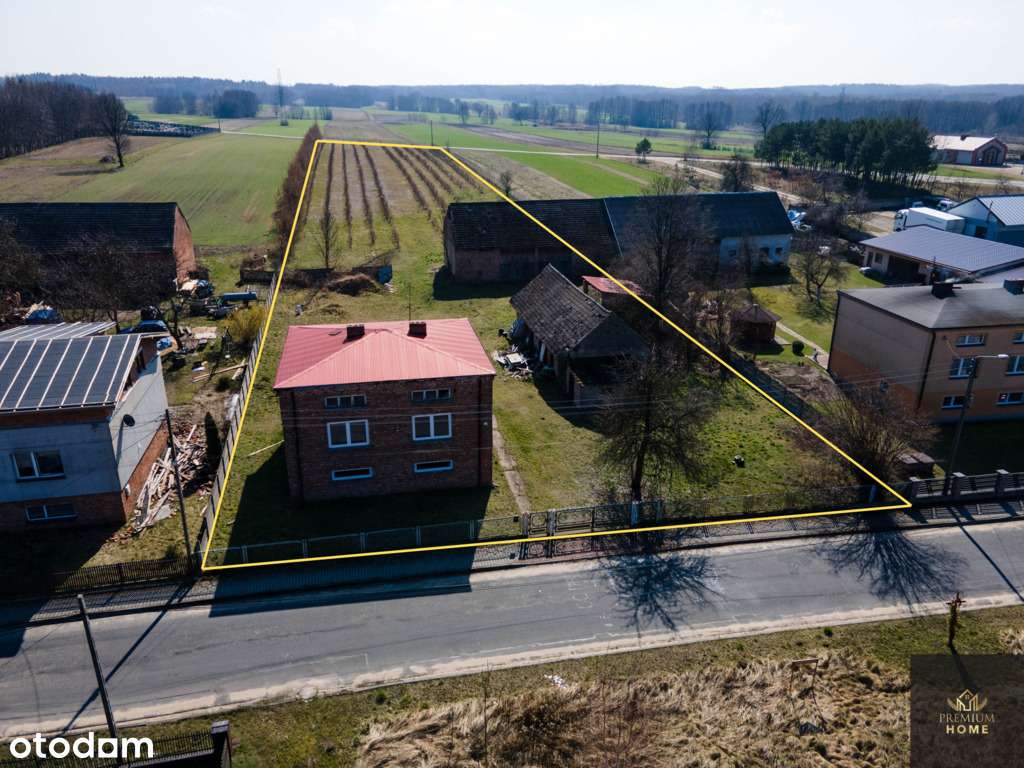 Dom z rozpoczętą modernizacją i plantacją borówek - Pełny obrazek: 4/9