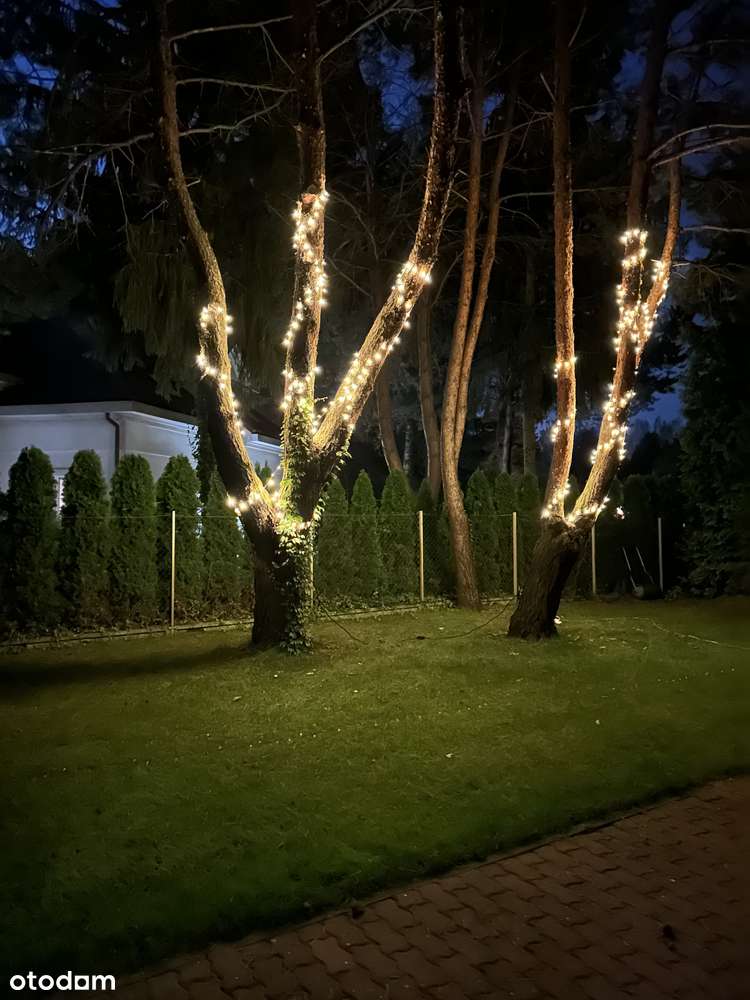 Dom obok lasu - Pełny obrazek: 4/18