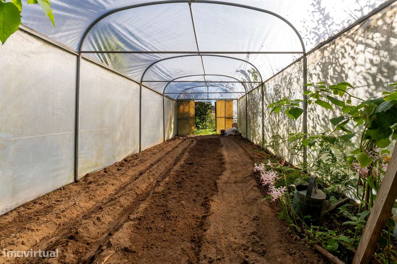 Moradia Isolada T2 Venda em Lobão, Gião, Louredo e Guisande,Santa Mari-37