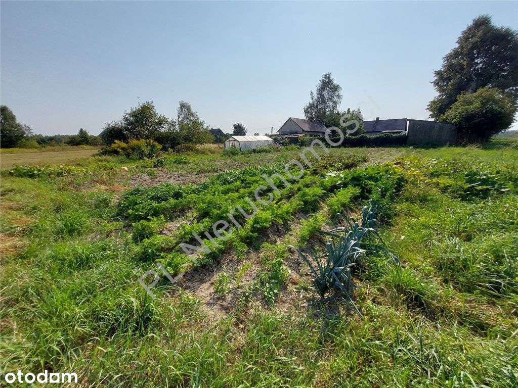 Siedlisko Jak Z Bajki, Miejskie Media, Komunikacja-4