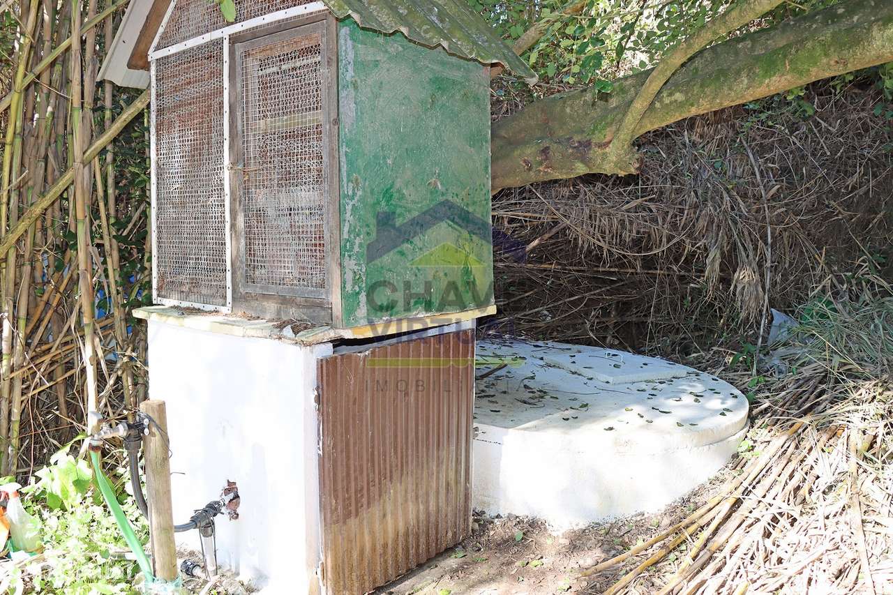 Magnífica Quinta c/ 10.490 m2 Concelho Cadaval-35