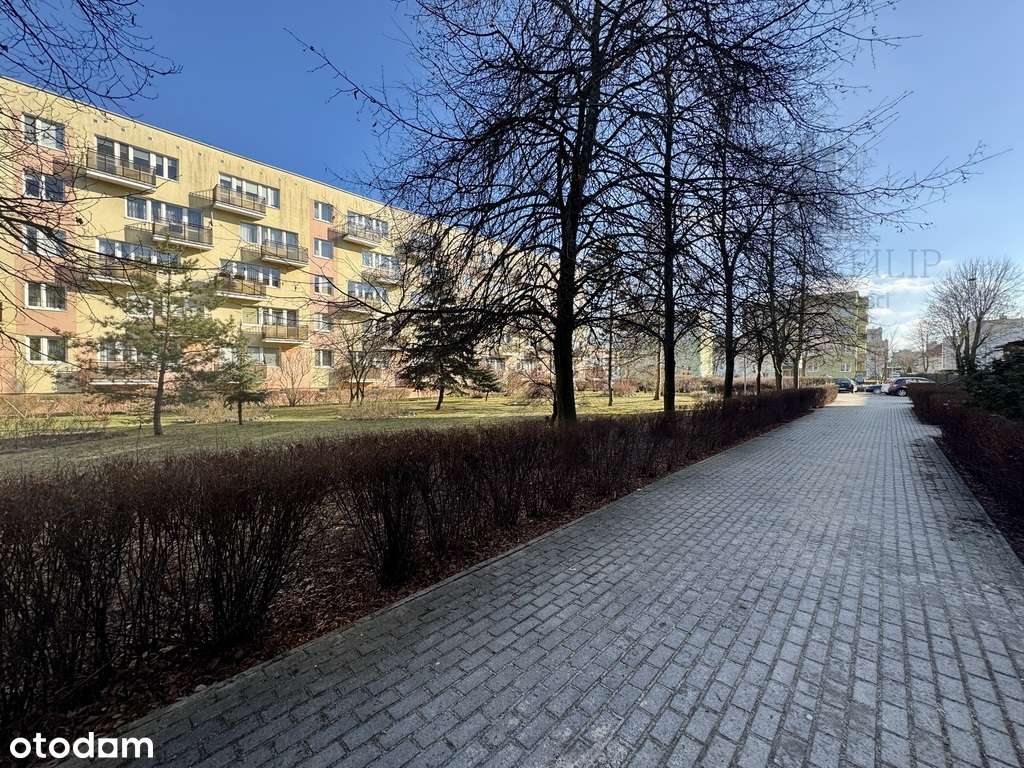 Wyposażone-Gotowe do wprowadzenia-Zieleń za oknem!-13