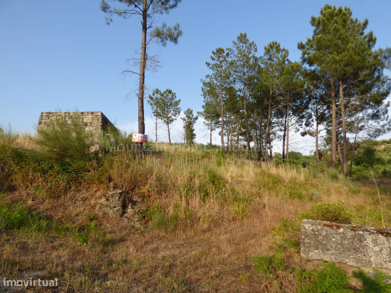 Quintinha  Venda em Ribamondego,Gouveia - Grande imagem: 4/6