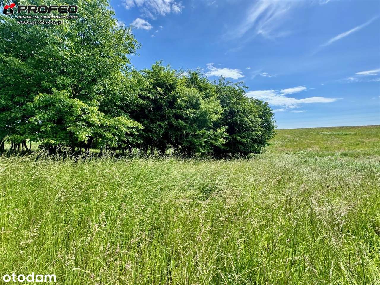 Działka na sprzedaż, Wilamowice (gw) - Pełny obrazek: 5/15