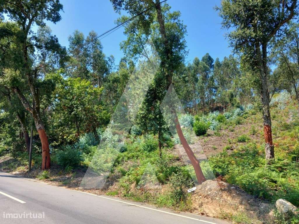 Terreno em Argoncilhe - Santa Maria da Feira - Grande imagem: 5/12