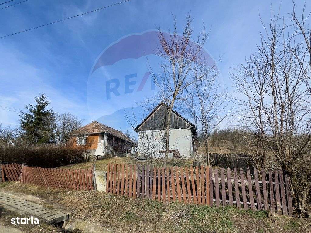 Teren Intravilan 4900mp Dabaca - Cluj - Proiect Turism Rural-6