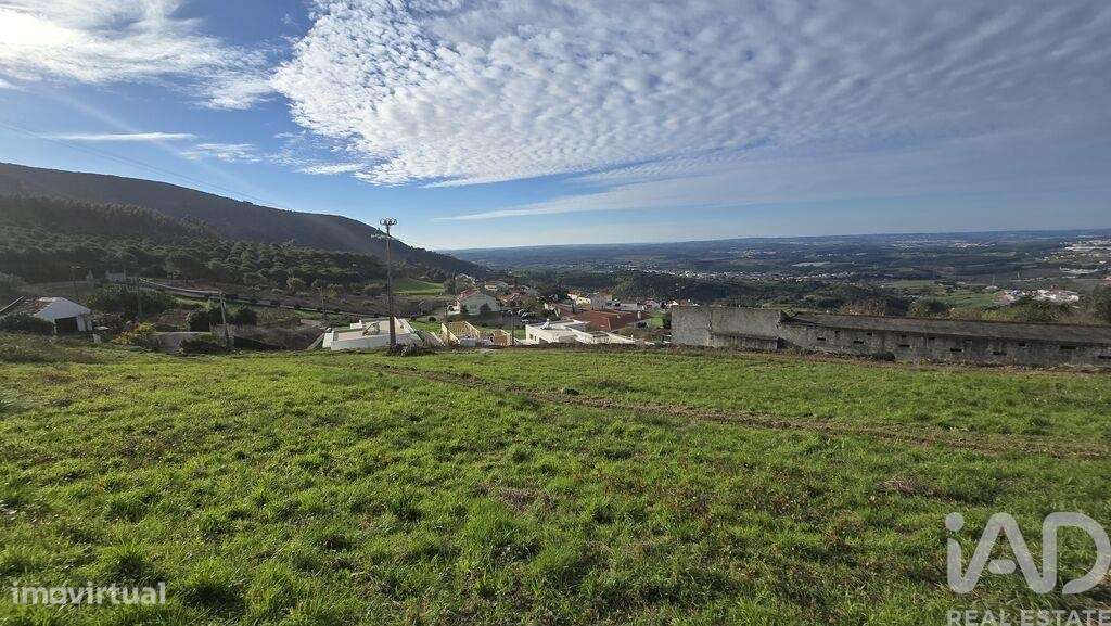 Terreno para construção em Lamas e Cercal - Grande imagem: 3/12