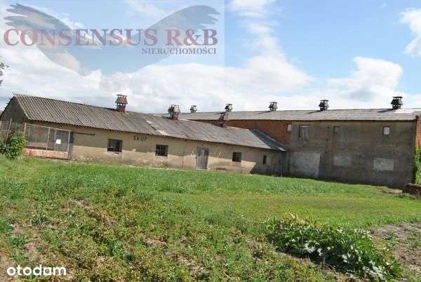 Lokal użytkowy, 478 m², Prudnik - Pełny obrazek: 5/12