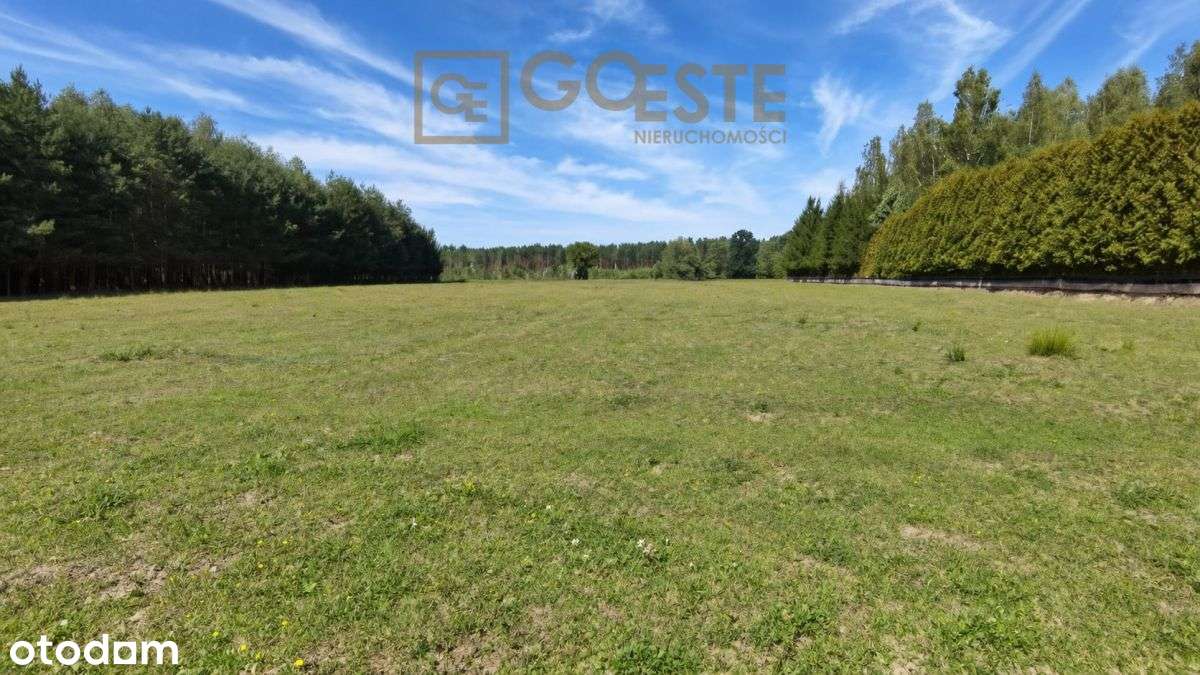 Działka budowlana 4900 m2, 20 minut od Warszawy-5