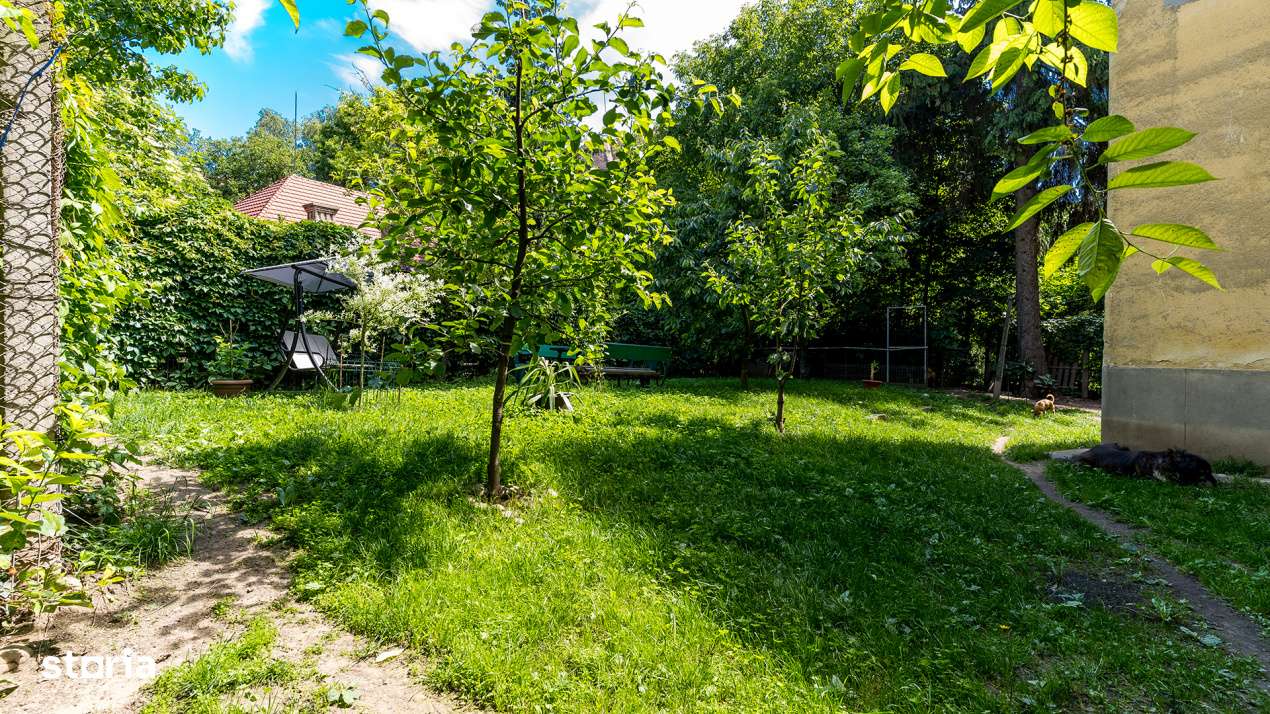 Duplex interbelic cu farmec istoric, in inima Clujului, Str. Crisan-15