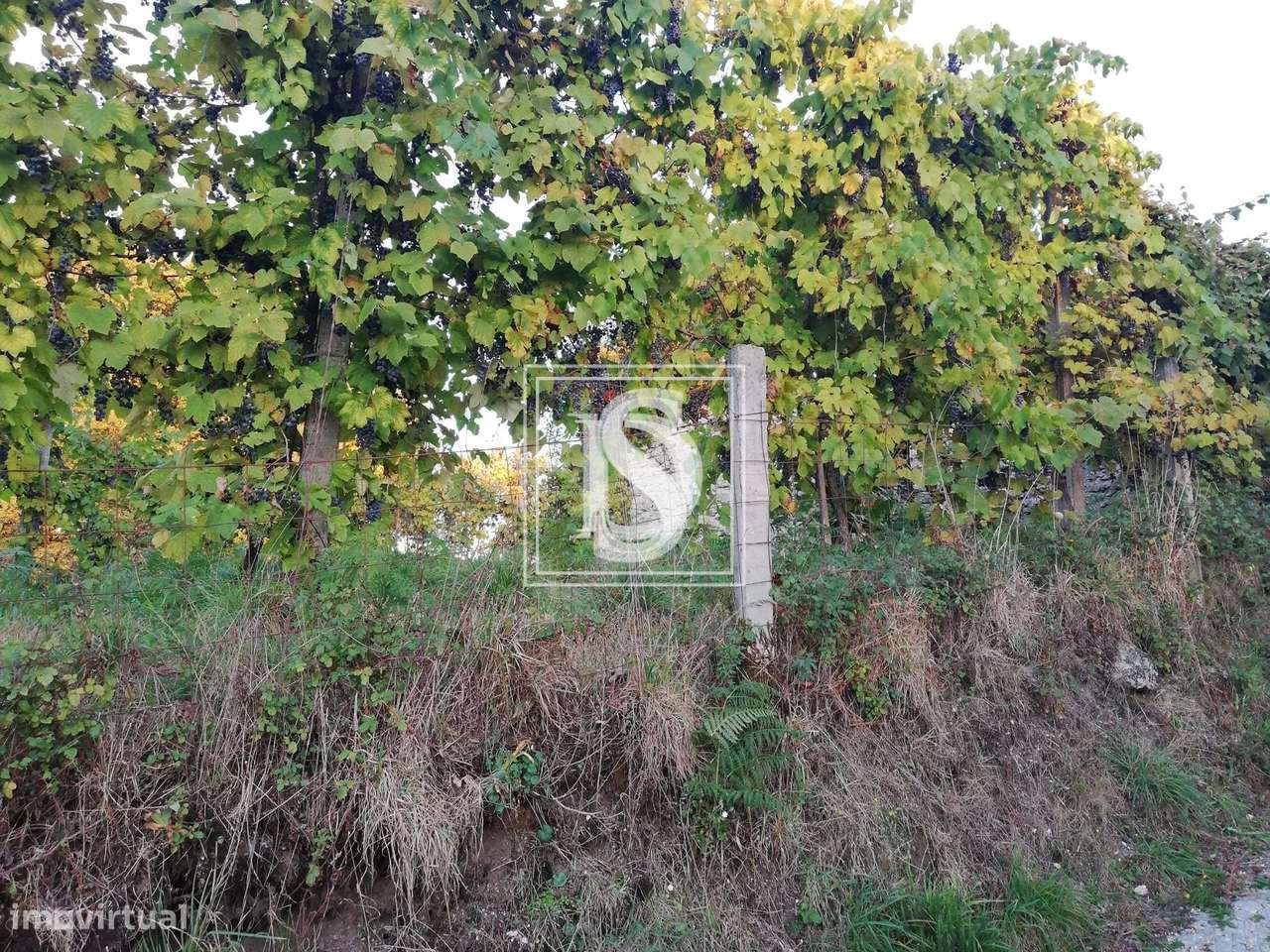 Moradia T2 para Restaurar com terreno,   em Serzedelo, Póvoa de Lanhos - Grande imagem: 5/9