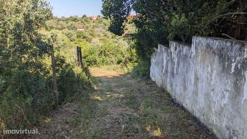 Terreno agrícola em Romeira, Santarém – 2,1 hectares - Grande imagem: 4/11