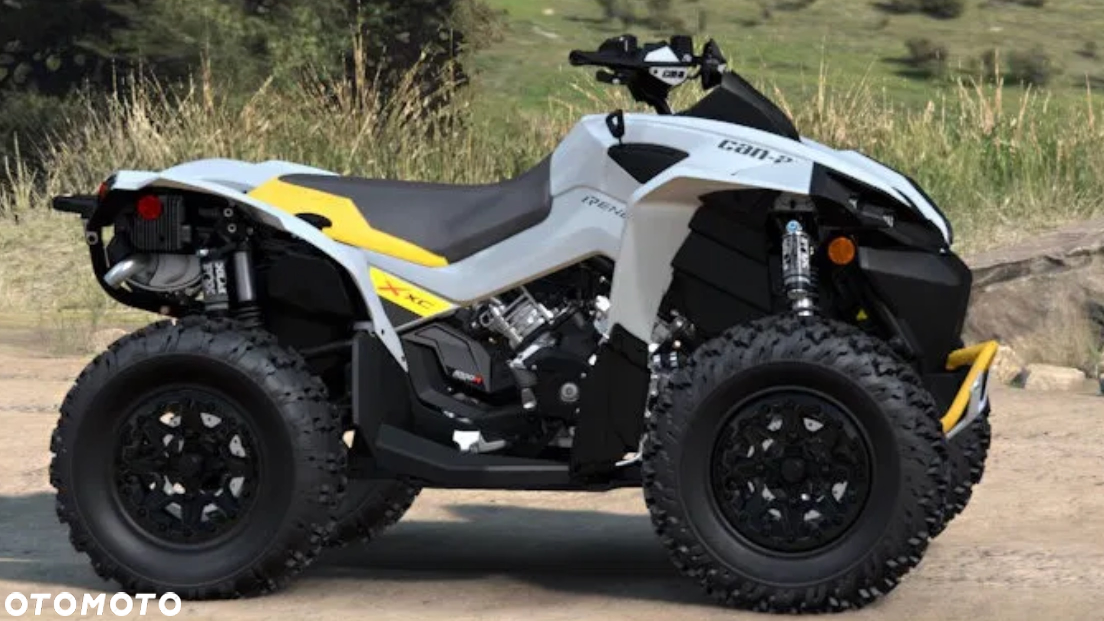 Can-Am Renegade - 6