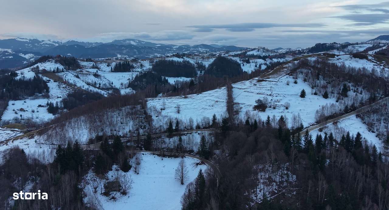 Teren de vânzare – Peștera Măgura Moeciu - Imagine principală: 5/7