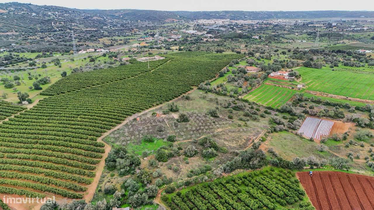 Terreno Rústico com Luz e Água entre Algoz e Tunes - Grande imagem: 3/17