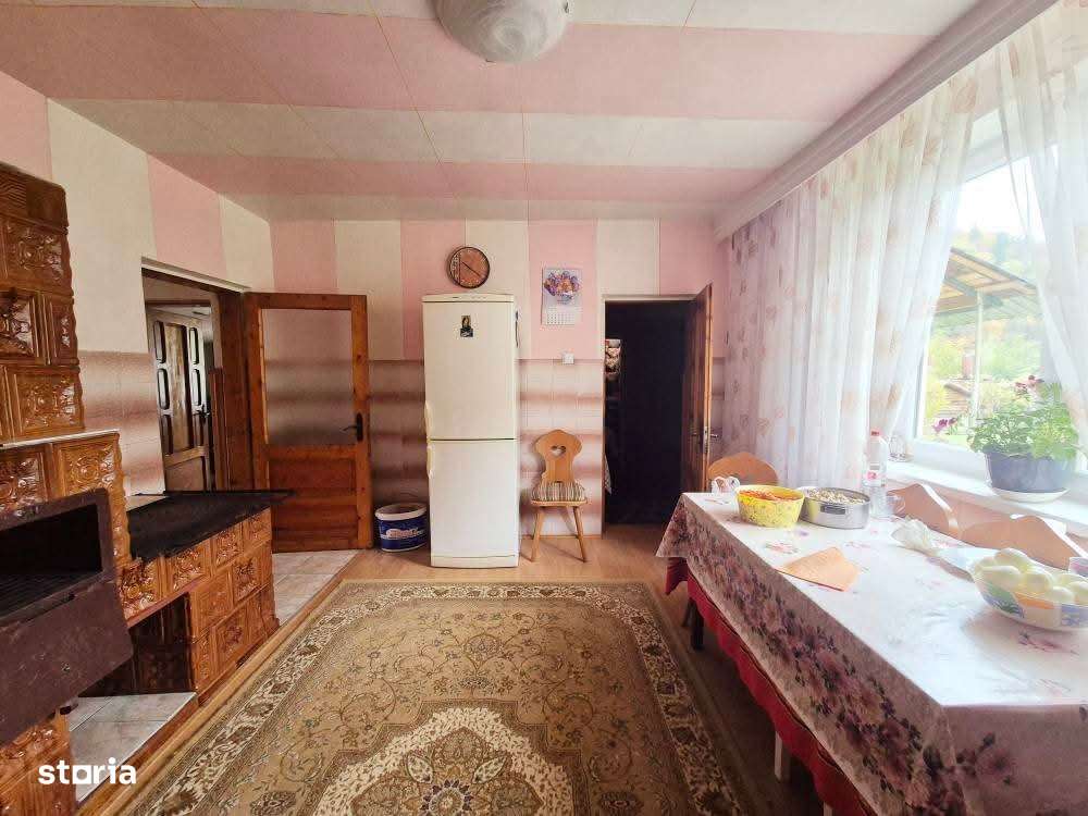 Vilă și teren generos de 3500 mp, Bâtca Doamnei - Piatra Neamț-11