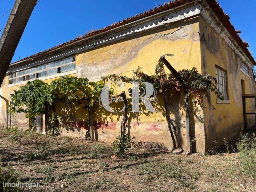 6 Prédios Urbanos e um Terreno Rústico para Renovação – Lousã-29