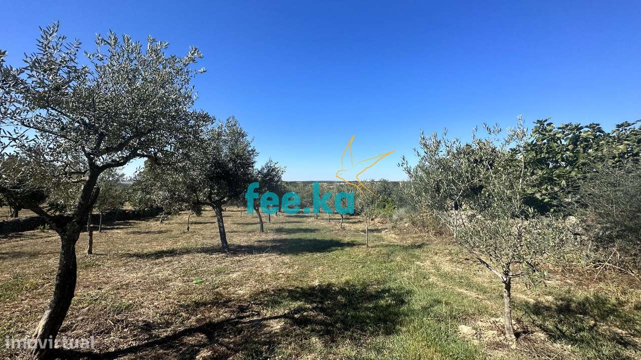 Quintinha em Monfortinho-6