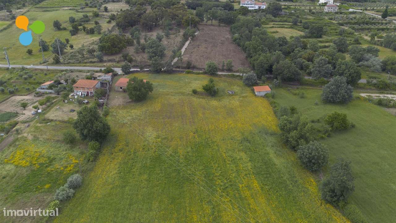 Quinta - Boidobra-13