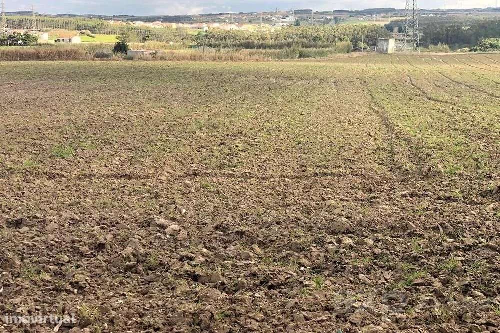 Terreno Rústico de 14.000 m² na Vila de Atouguia da Baleia - Grande imagem: 4/23