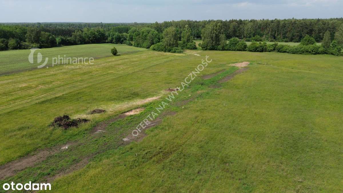 działka 11a, Naprusewo, gm. Ostrowite - Pełny obrazek: 4/4