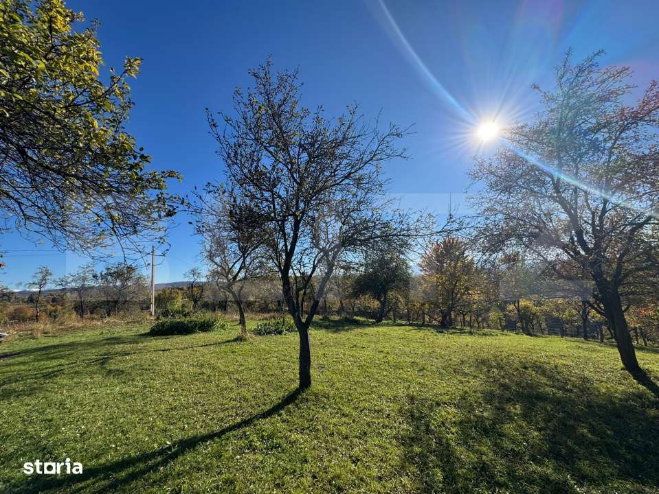 Teren extravilan 2000mp in Tarsa - Imagine principală: 4/4