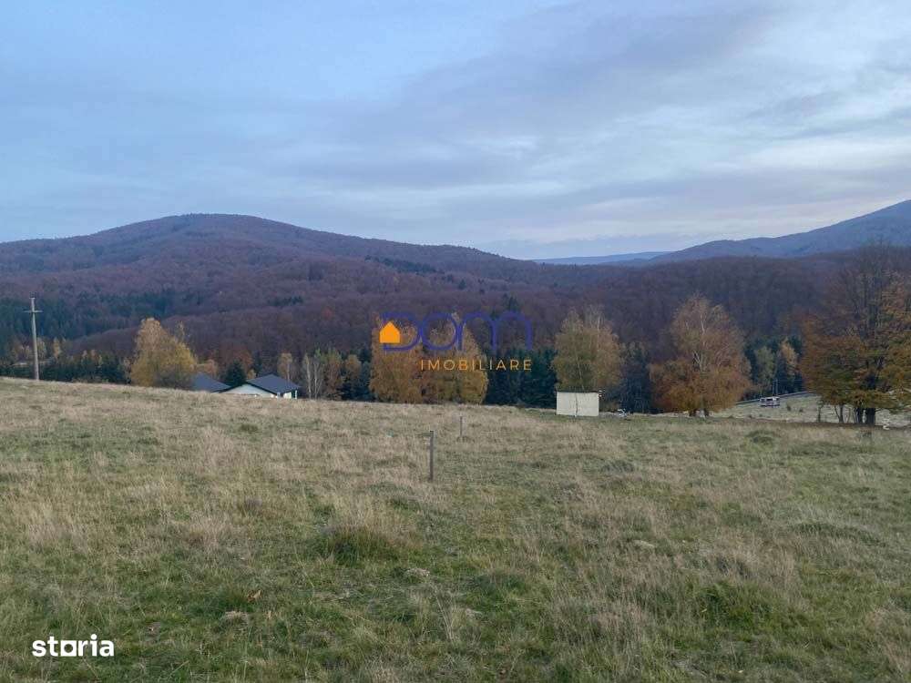 Teren intravilan Brebu Nou - Trei Ape - Imagine principală: 4/10