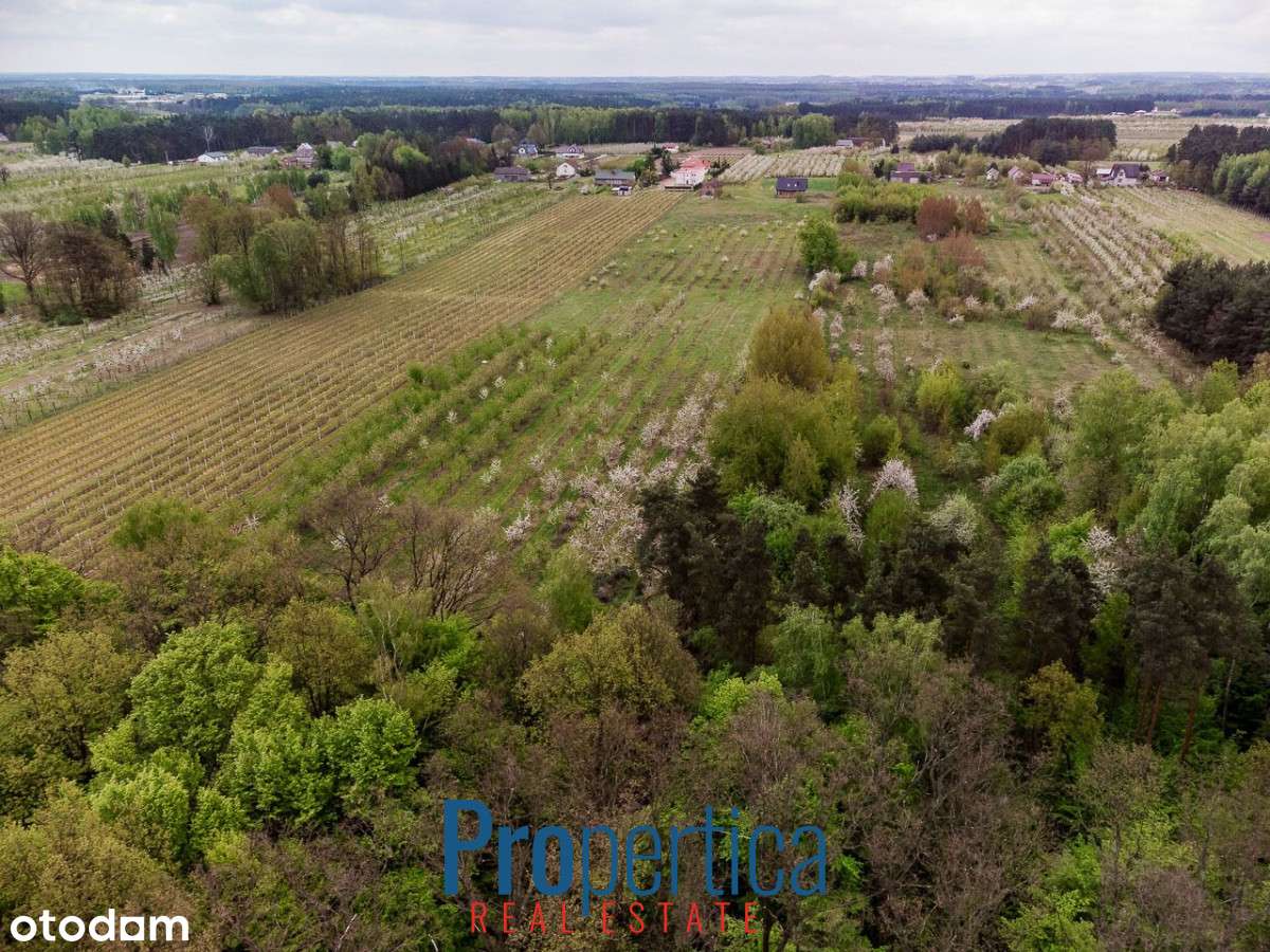 *Działka Kocerany - 4,72 ha - Blisko S7 **-9