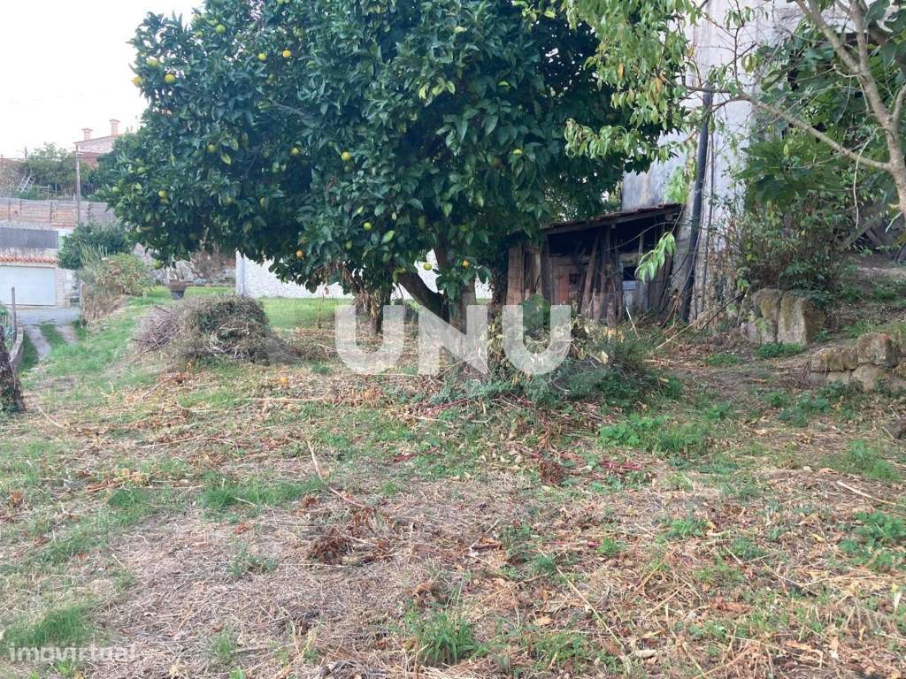 Moradia Isolada T6 - Fantástico Espaço Exterior-20