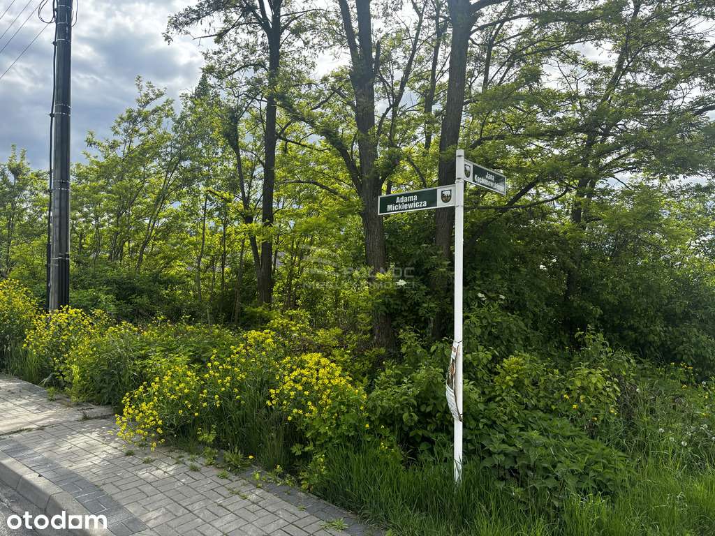 Działki budowlane 14a w Janowie - ul. Mickiewicza! - Pełny obrazek: 5/6