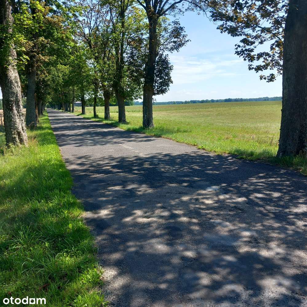 Małe budowlane przy lesie, mediach, asfaltowej drodze i szumie rzeczki-10