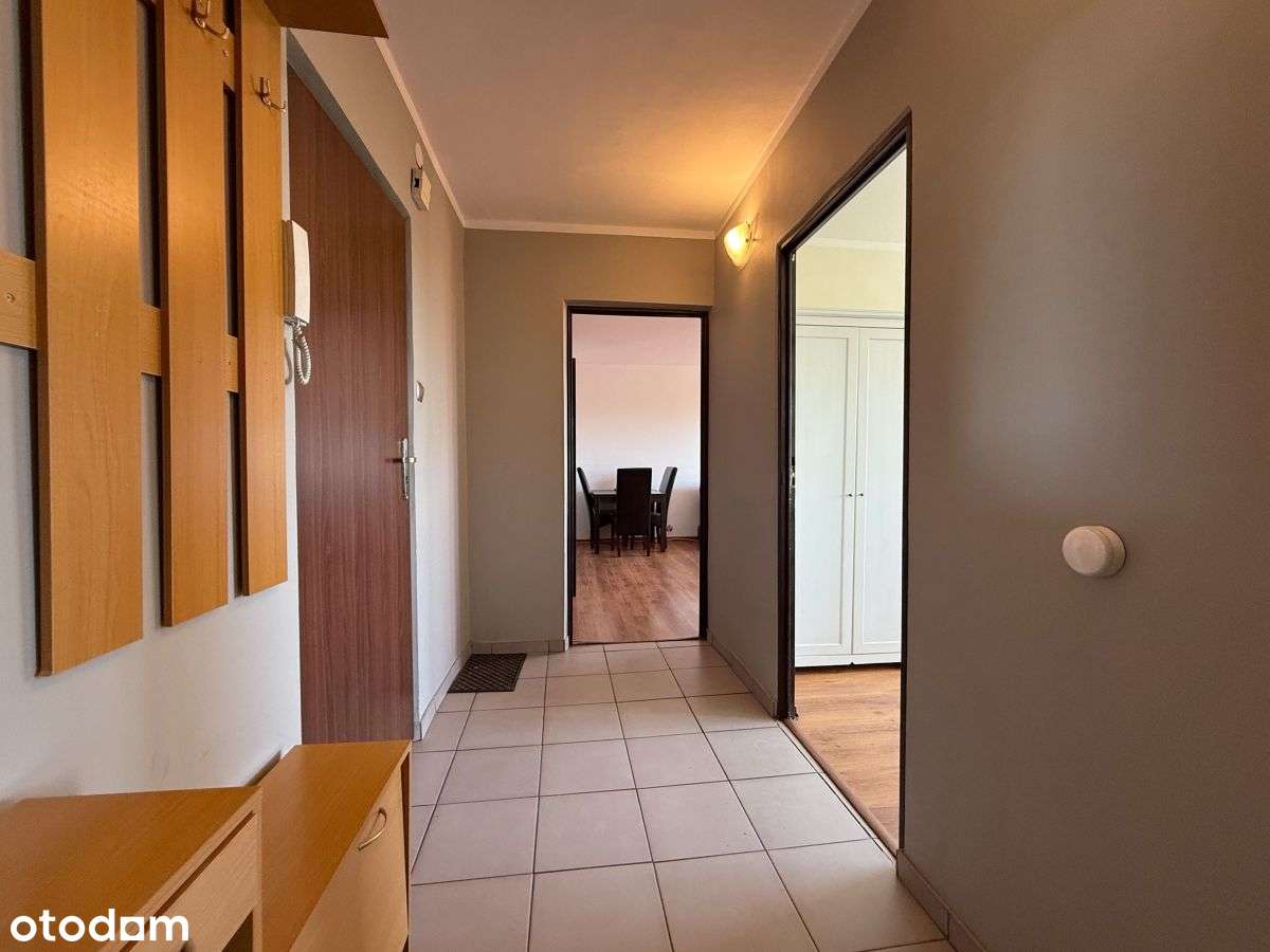 Piękny widok na panoramę, układ niezależny,-7