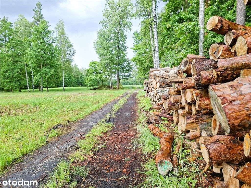 Urocze miejsce do zamieszkania - Pełny obrazek: 3/8