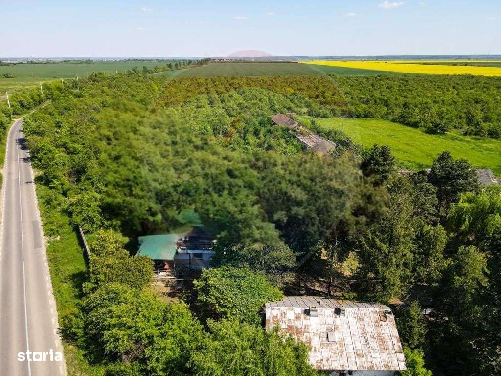 Vanzare Teren Constructii Adunatii-Copaceni, Deschidere Directa la DN5 - Imagine principală: 2/8