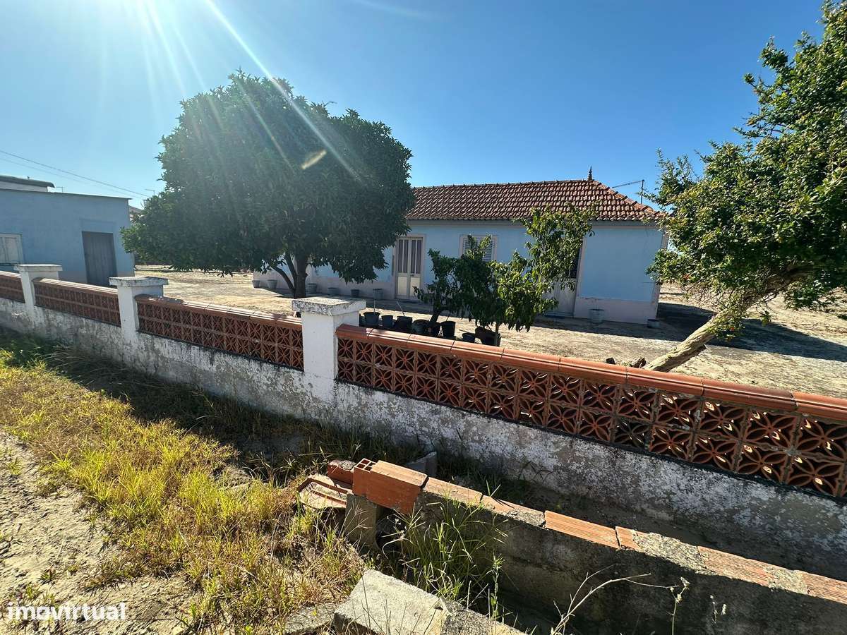 Quintinha com Moradia T2 em Foros Salvaterra-5